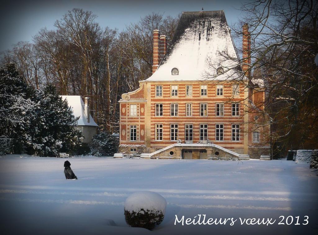 Chateau De Beneauville Bed & Breakfast Petiville  Exterior foto